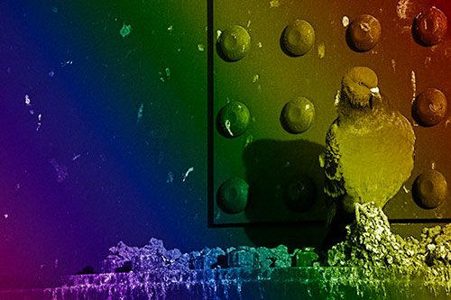 Pigeon Keeping Watch Among Dirty Bridge Steel (Rainbow Shade)