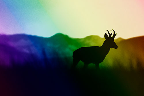 Pronghorn Silhouette Across Mountain Range (Rainbow Shade)