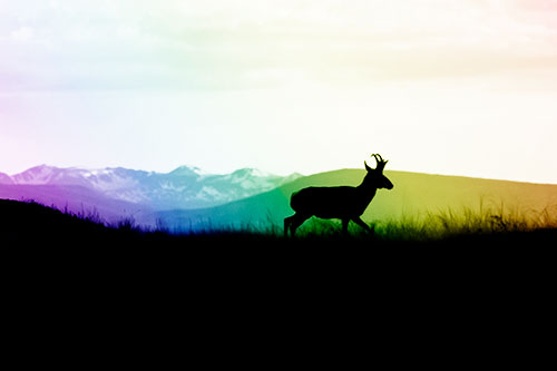 Pronghorn Silhouette On The Prowl (Rainbow Shade Photo)