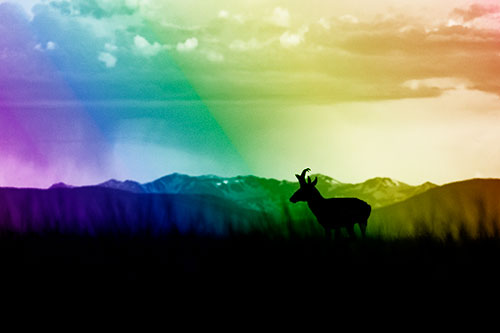 Pronghorn Silhouette Overtakes Stormy Mountain Range (Rainbow Shade Photo)