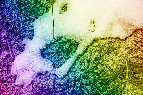 Screaming Stick Eyed Snow Face Among Grass (Rainbow Shade Photo)