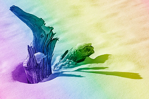 Shadow Casting Tree Trunk Waving Among Snow (Rainbow Shade)