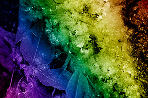 Smiling Cotton Stick Face Among Fallen Leaves (Rainbow Shade)