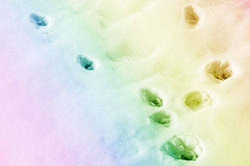 Snowy Animal Footprints Changing Direction (Rainbow Shade Photo)