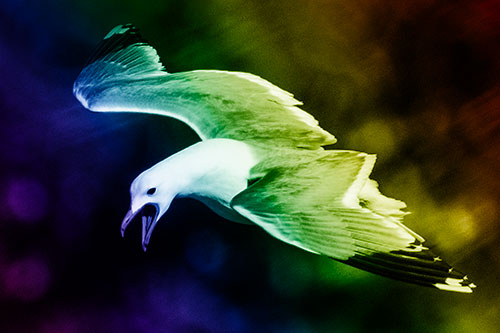 Squealing Seagull Spots Creature Among Lake Below (Rainbow Shade)