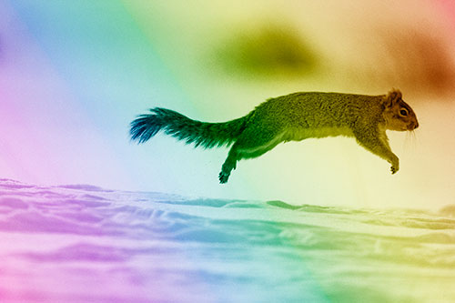 Squirrel Leap Flying Across Snow (Rainbow Shade Photo)