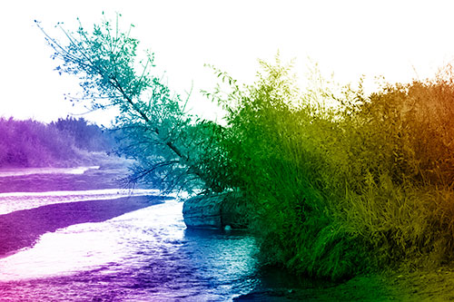 Tilted Fall Tree Over Flowing River (Rainbow Shade Photo)