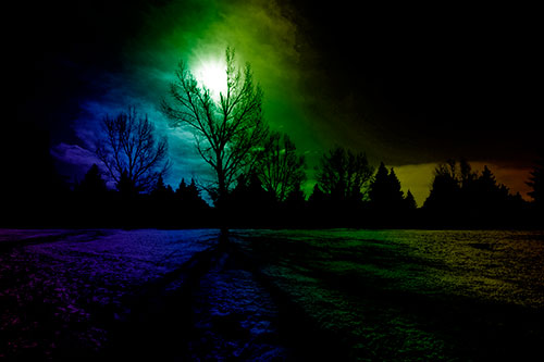 Tree Silhouette Holds Sun Among Darkness (Rainbow Shade Photo)