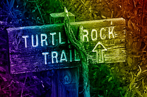 Wooden Turtle Rock Trail Sign (Rainbow Shade Photo)