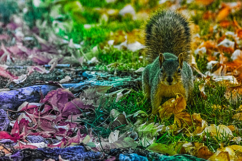 Alert Squirrel Freezes Among Fall Leaves (Rainbow Tint)