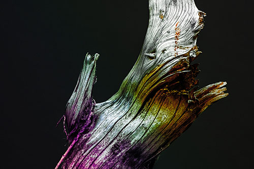 Angry Blood Stained Tree Trunk Creature Raising Fist (Rainbow Tint)