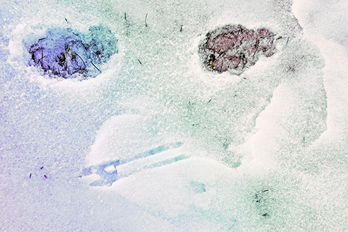 Beak Mouthed Footprint Face Among Snow (Rainbow Tint)