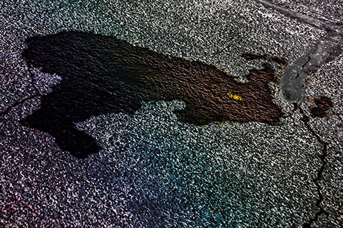Bunny Rabbit Pavement Puddle Figure Formation (Rainbow Tint)