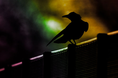 Crow Silhouette Atop Guardrail (Rainbow Tint Photo)