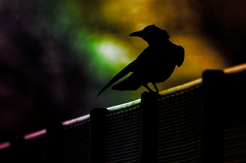 Crow Silhouette Atop Guardrail (Rainbow Tint)