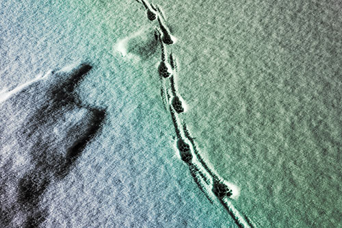 Curving Animal Footprint Trail Dragging Along Snow (Rainbow Tint Photo)