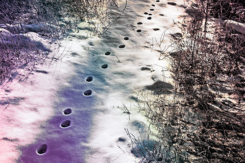 Deep Snow Animal Footprint Markings (Rainbow Tint Photo)