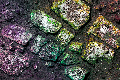 Dirt Covered Stepping Stones (Rainbow Tint Photo)