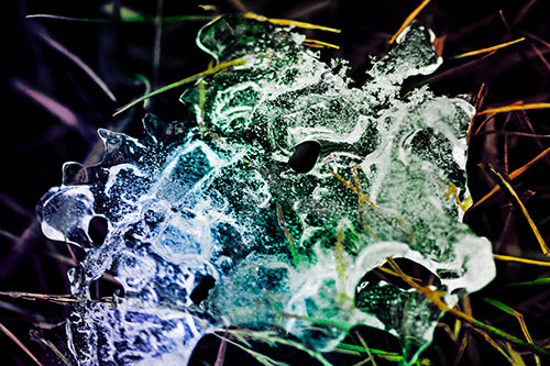 Dismayed Ice Dragon Face Frozen Among Piercing Grass Blades (Rainbow Tint)