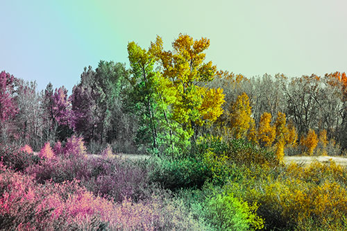 Distant Autumn Trees Changing Color Among Horizon (Rainbow Tint Photo)
