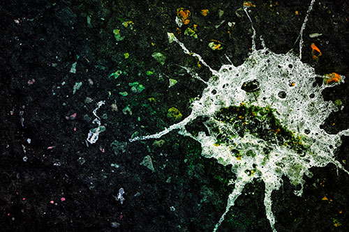 Distressed Bird Excrement Face Splattered Among Pavement (Rainbow Tint)