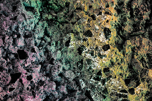 Fungi Covers Rugged Surfaced Stone (Rainbow Tint Photo)
