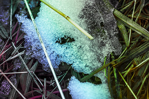 Half Melted Ice Face Smirking Among Reed Grass (Rainbow Tint Photo)