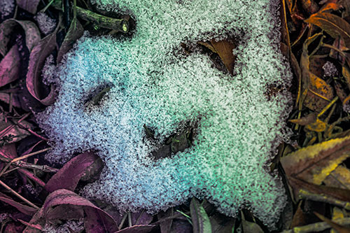 Happy Snow Face Among Dead Twisted Leaves (Rainbow Tint)