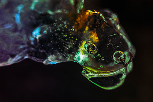 Joyful Frozen Bubble Eyed River Ice Face Creature (Rainbow Tint Photo)
