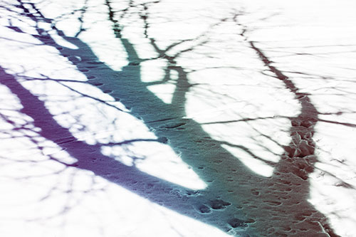 Large Jagged Tree Shadow Across Snow (Rainbow Tint Photo)