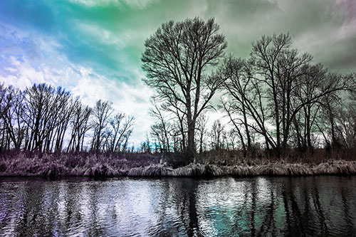 Leafless Trees Cast Reflections Along River Water (Rainbow Tint Photo)
