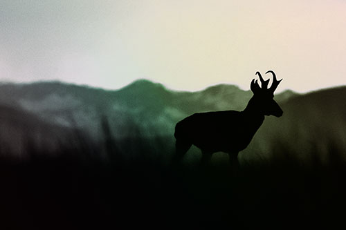 Pronghorn Silhouette Across Mountain Range (Rainbow Tint Photo)