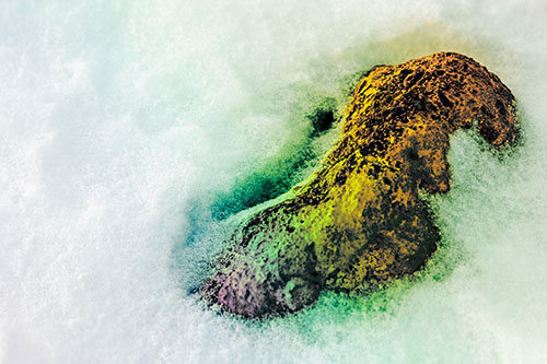 Rock Emerging From Melting Snow (Rainbow Tint Photo)