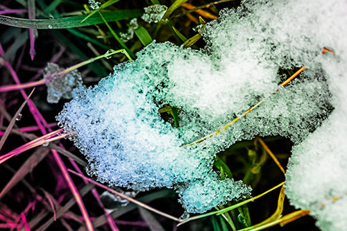 Sad Melting Grass Tangled Snow Face (Rainbow Tint)