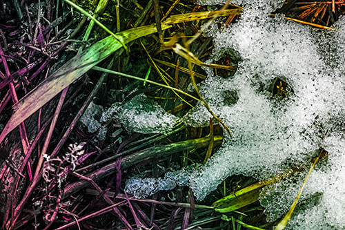 Sad Mouth Melting Ice Face Creature Among Soggy Grass (Rainbow Tint Photo)