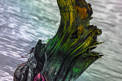 Seasick Faced Tree Log Among Flowing River (Rainbow Tint Photo)