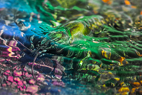 Shallow Submerged Crayfish Keeping Watch Among River (Rainbow Tint Photo)