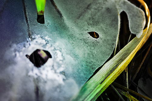 Shocked Peeling Grass Eyed Ice Face (Rainbow Tint)