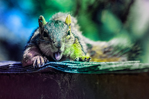 Sleepy Squirrel Yawning Among Rooftop (Rainbow Tint)