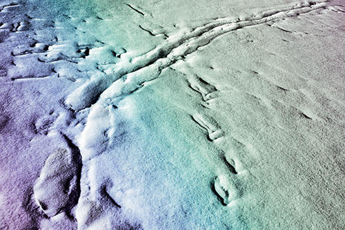 Snow Drifts Cover Footprint Trails (Rainbow Tint Photo)