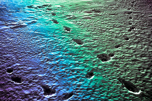 Snow Footprint Trails Crossing Paths (Rainbow Tint Photo)