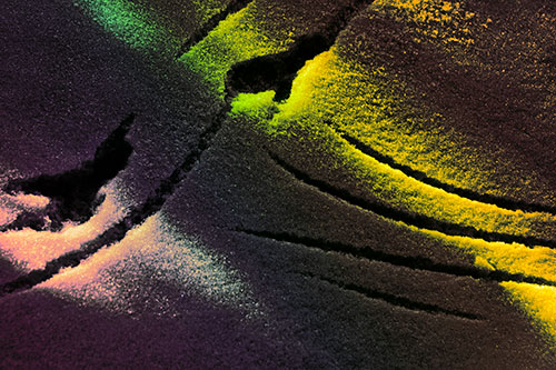 Snowy Bird Footprint Claw Marks (Rainbow Tint Photo)