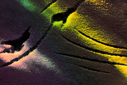 Snowy Bird Footprint Claw Marks (Rainbow Tint)