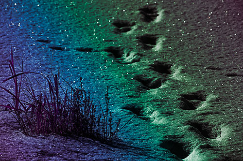 Sparkling Snow Footprints Across Frozen Lake (Rainbow Tint Photo)