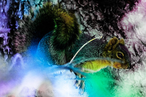 Squirrel Hiding Behind Tree Branches (Rainbow Tint Photo)