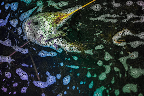 Stick Impales River Bubble Face Through Eye (Rainbow Tint Photo)