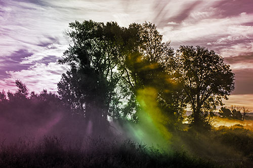 Sunlight Rays Burst Through Fog Surrounded Trees (Rainbow Tint Photo)