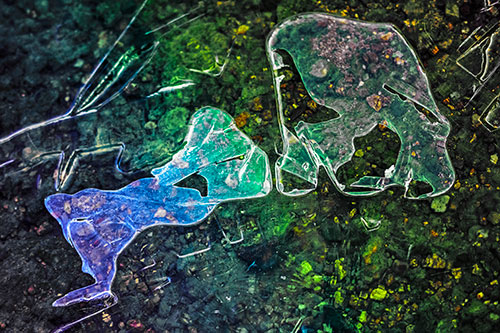 Translucent Frozen Big Eyed Alien Ice Bubble Figure Atop River (Rainbow Tint Photo)