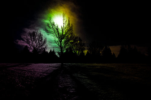 Tree Silhouette Holds Sun Among Darkness (Rainbow Tint Photo)