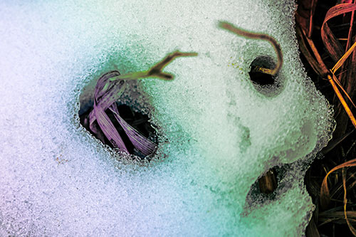Twisting Grass Eyed Snow Face (Rainbow Tint)